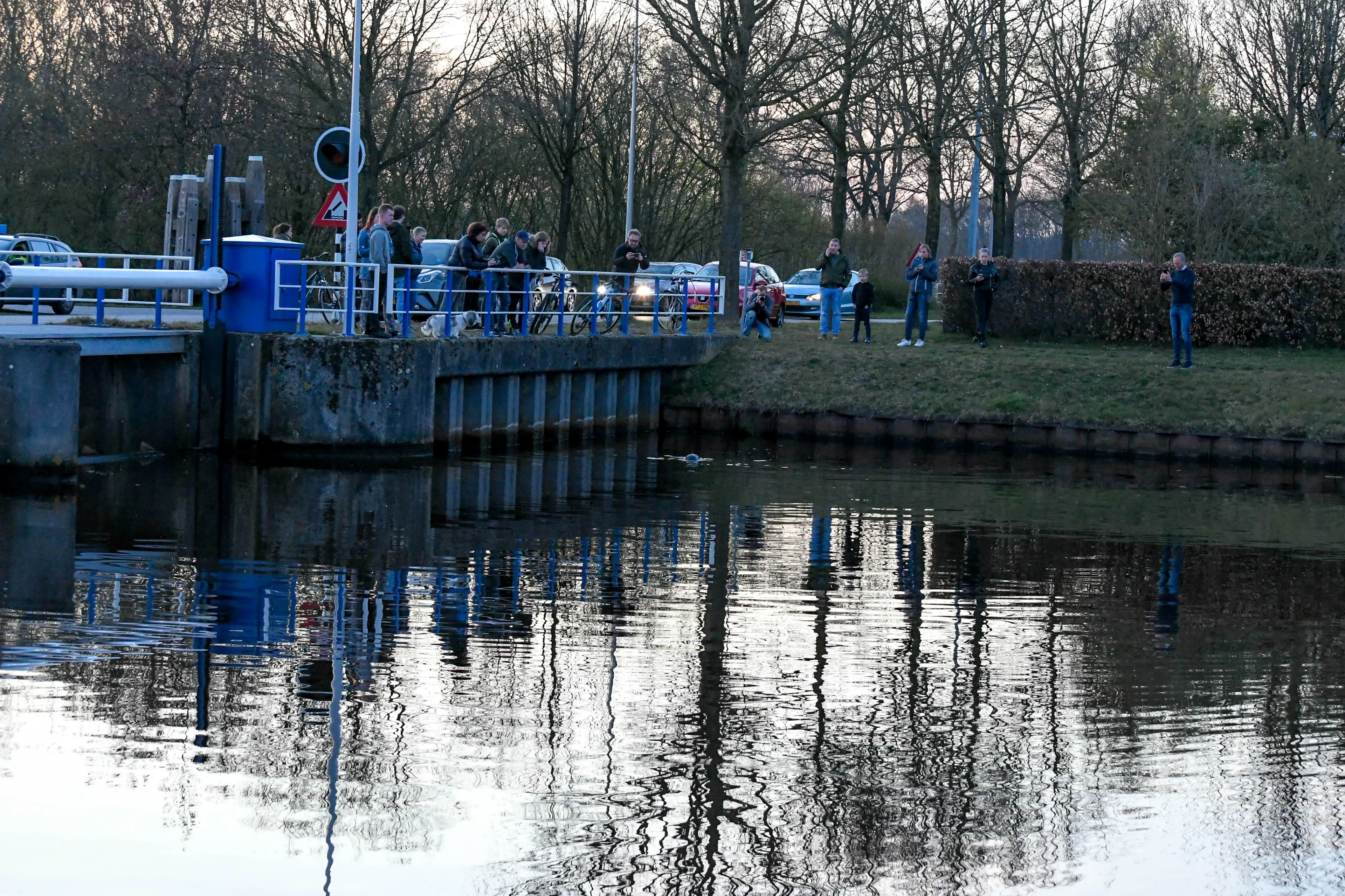 zeehond1 larissa lok