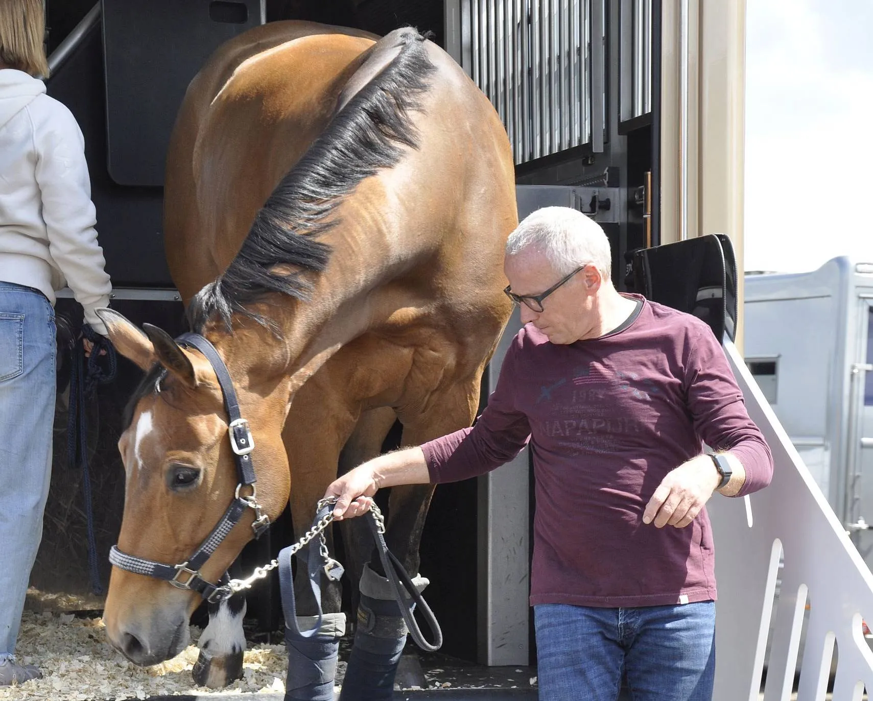 ch paard hanna brauer2jpg