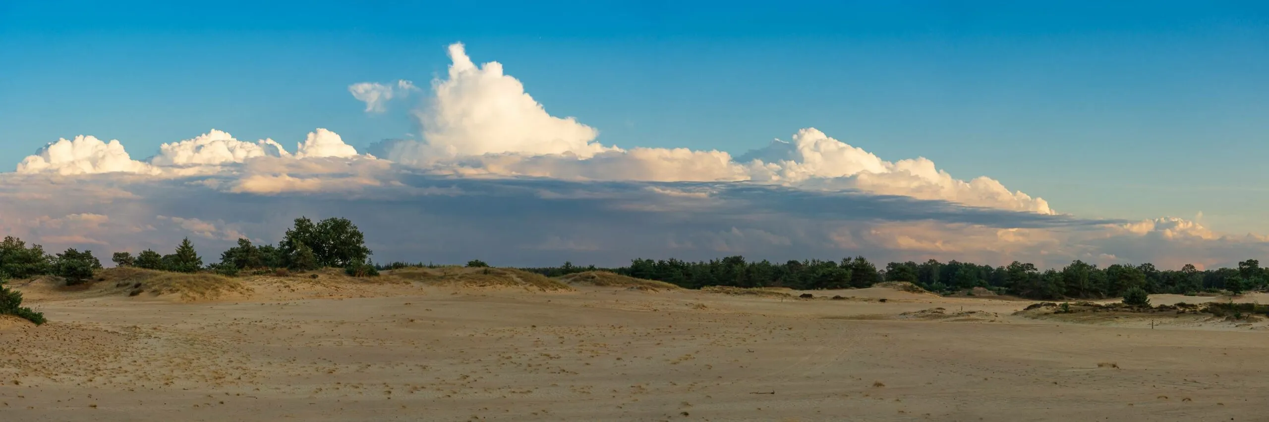 drfrw panorama aekingerzand scaled