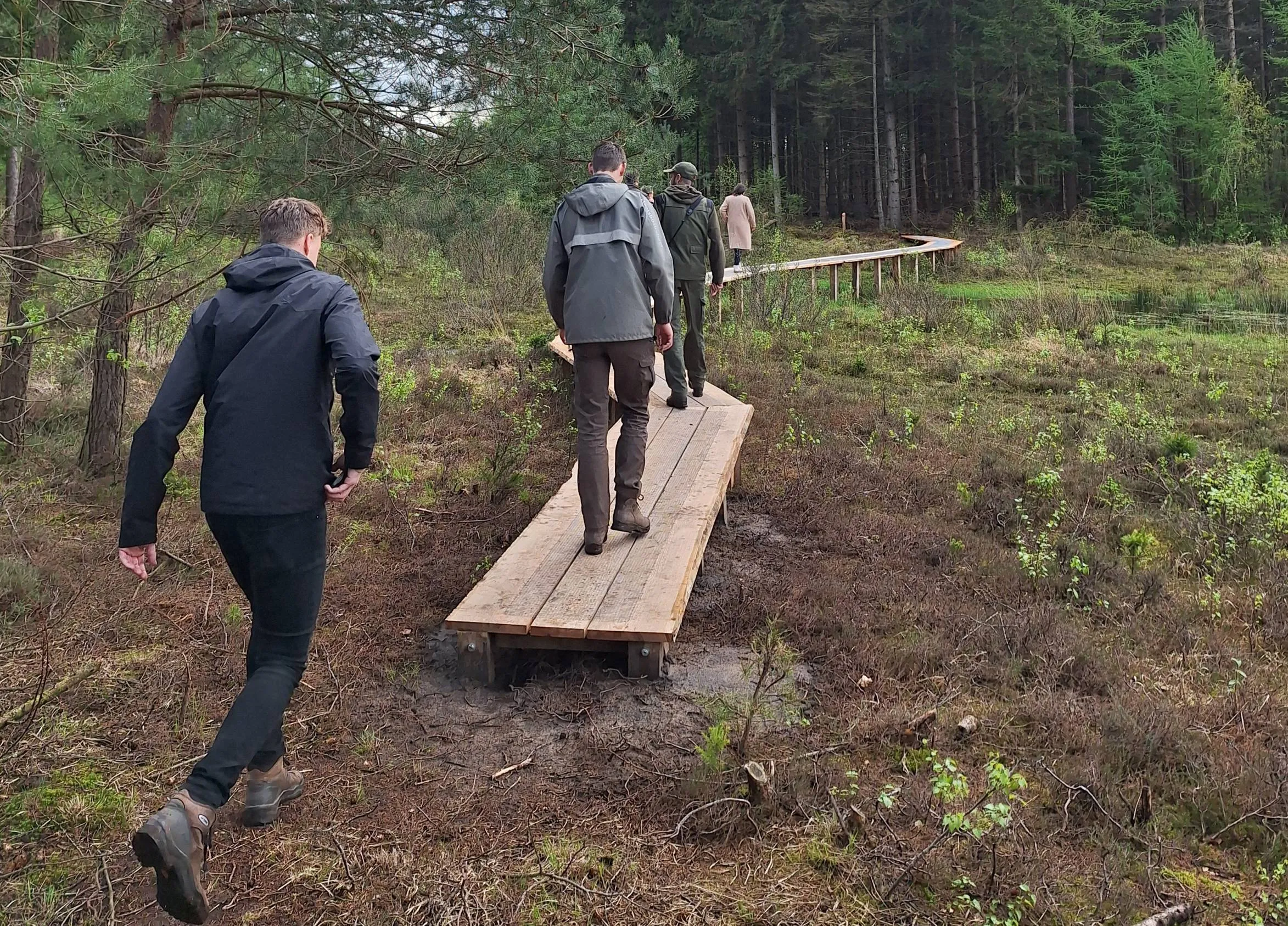 drfrwld wildernis wandelroute