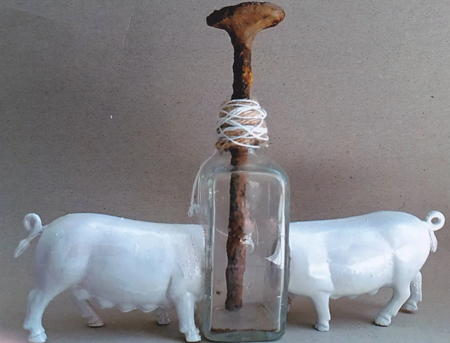 meppel expo stedelijk dd 185