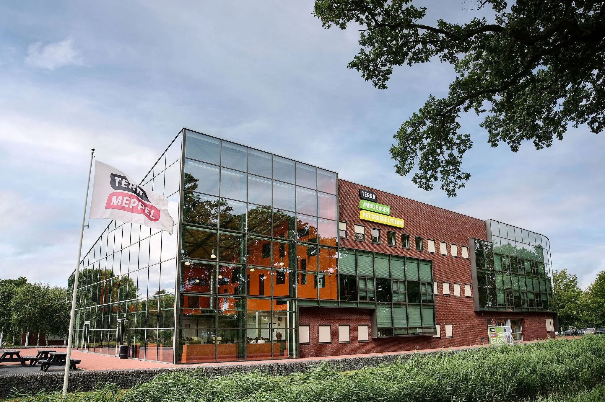 meppel73371 terra