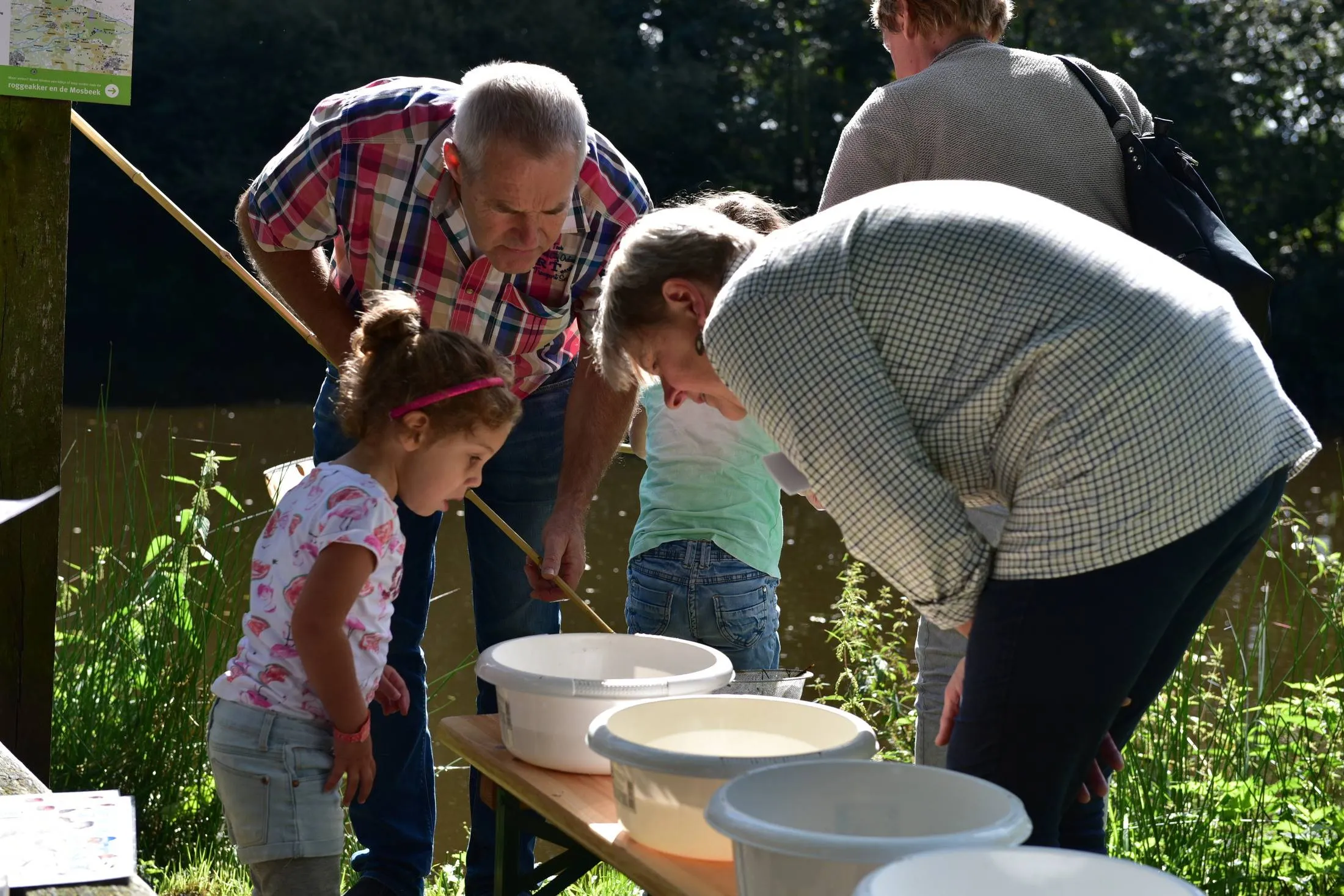 reestdal waterbeestjes rindert veltman