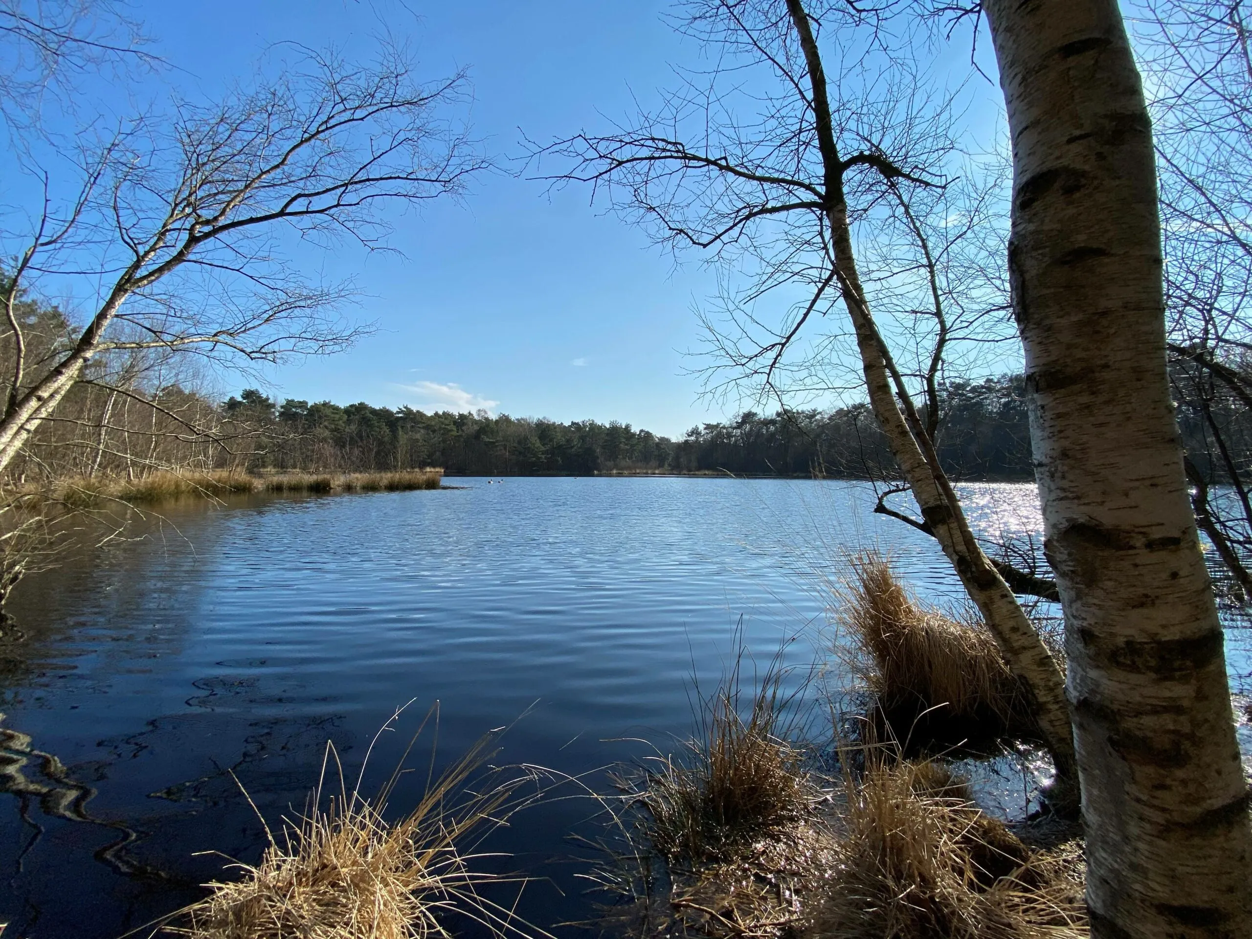 reestdal2 exursie scaled