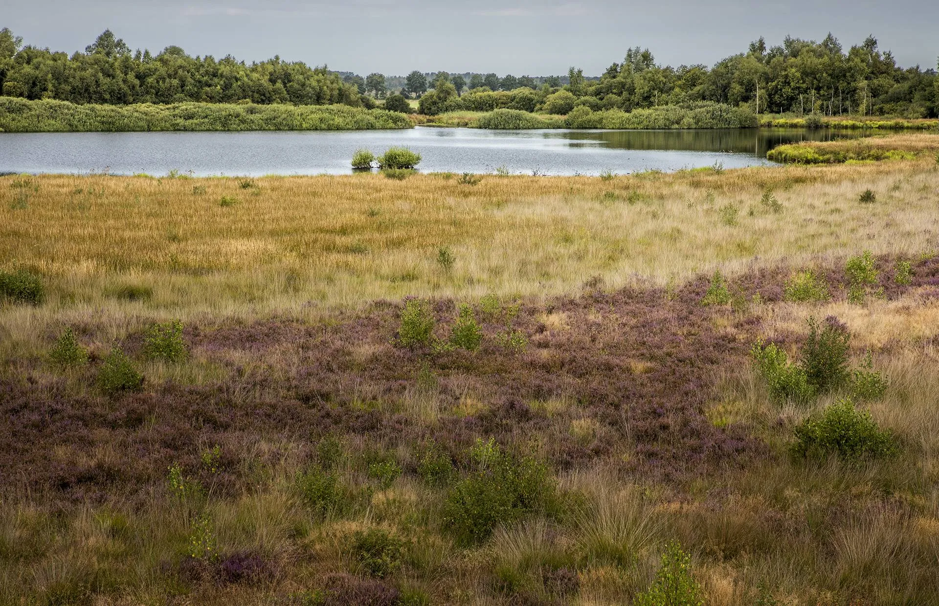 wes pingoruine foto karin broekhuijsen