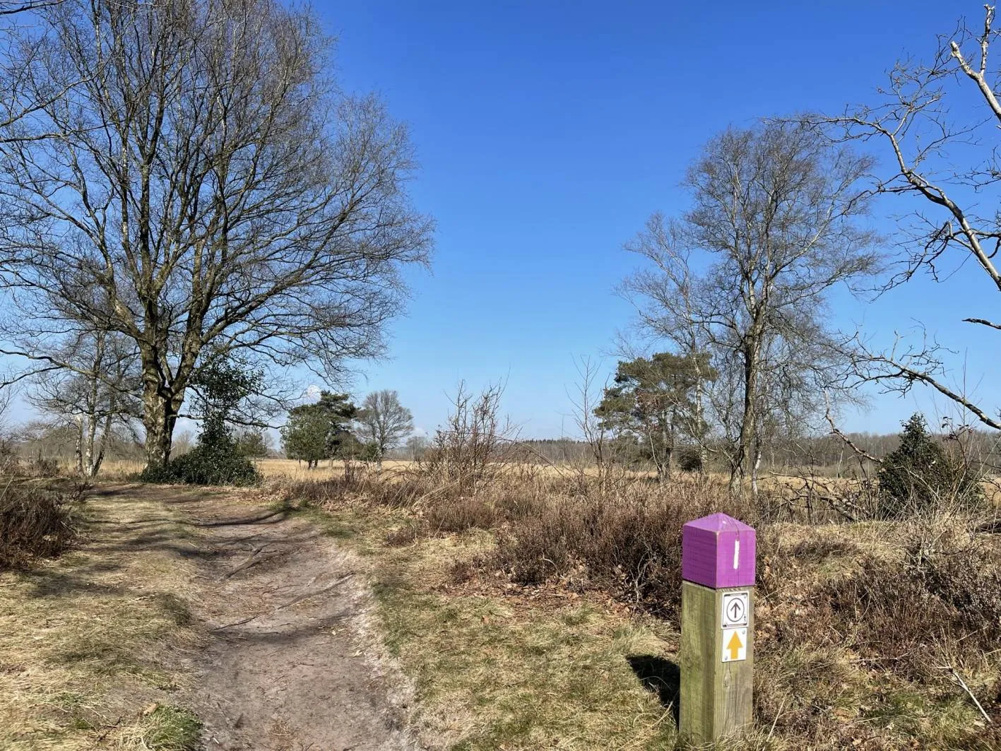 pn takkenhoogte zuidwolde