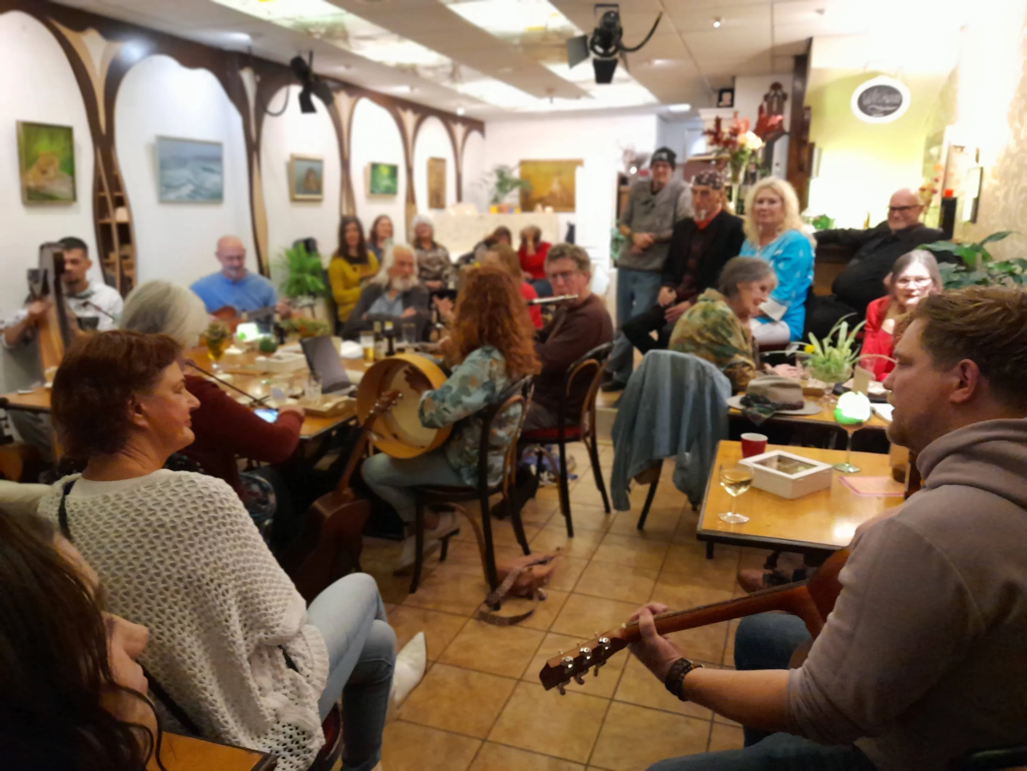 meppel ierse muziek cultuuursalon