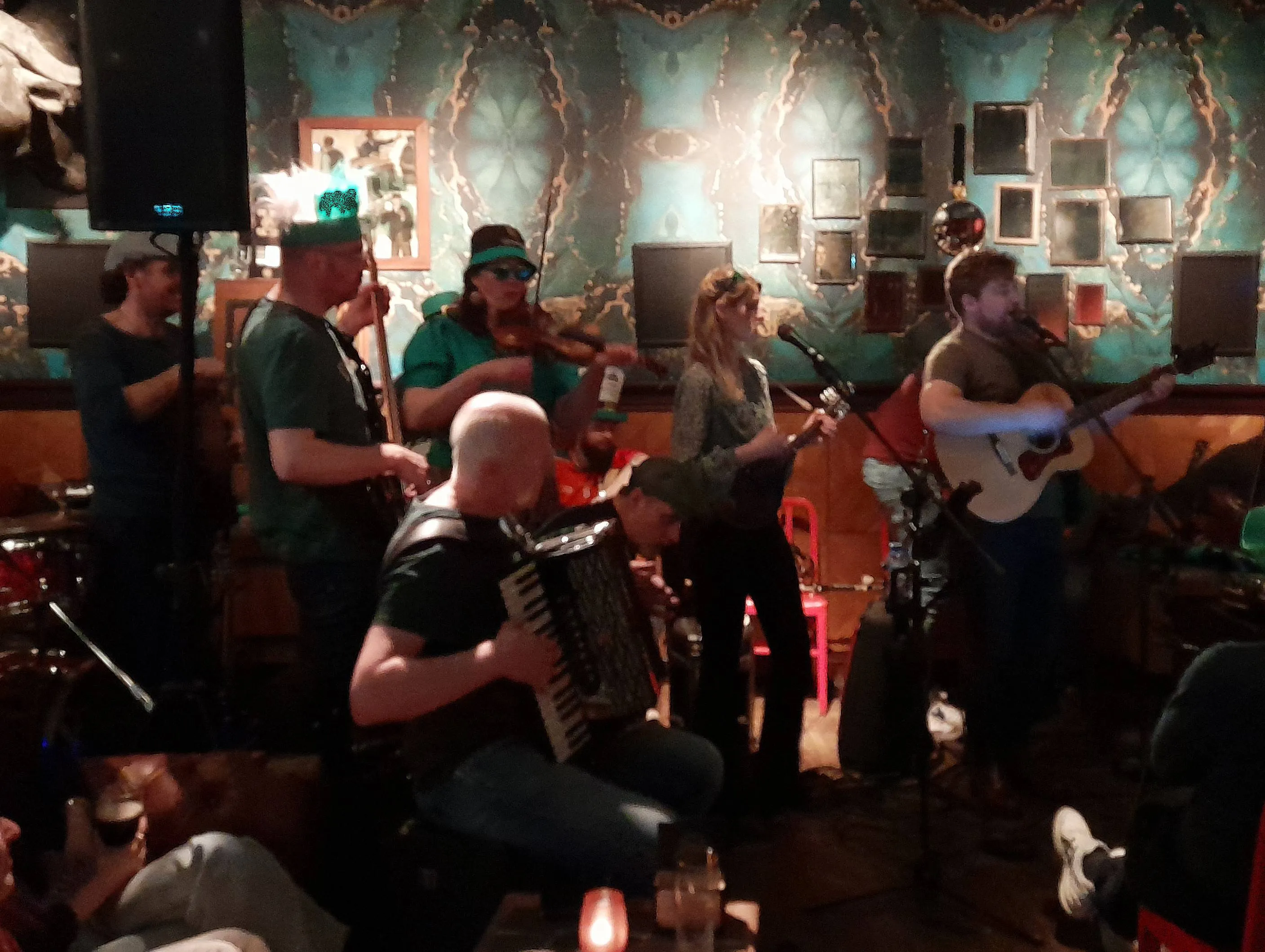 meppel seamus and the horses foto licentievrij wjh