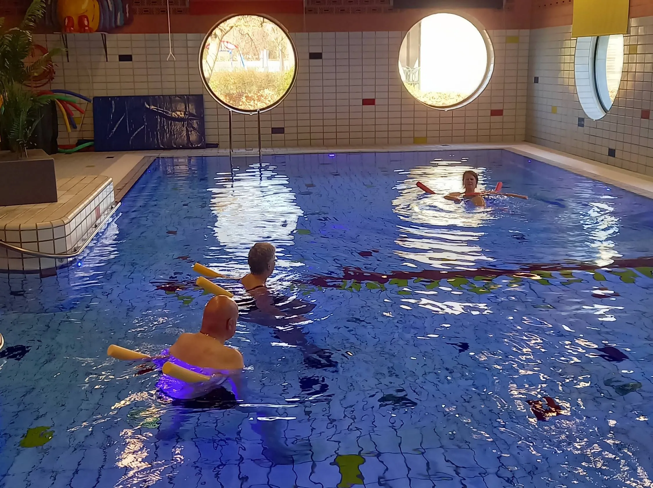 meppel zwemmen dementie