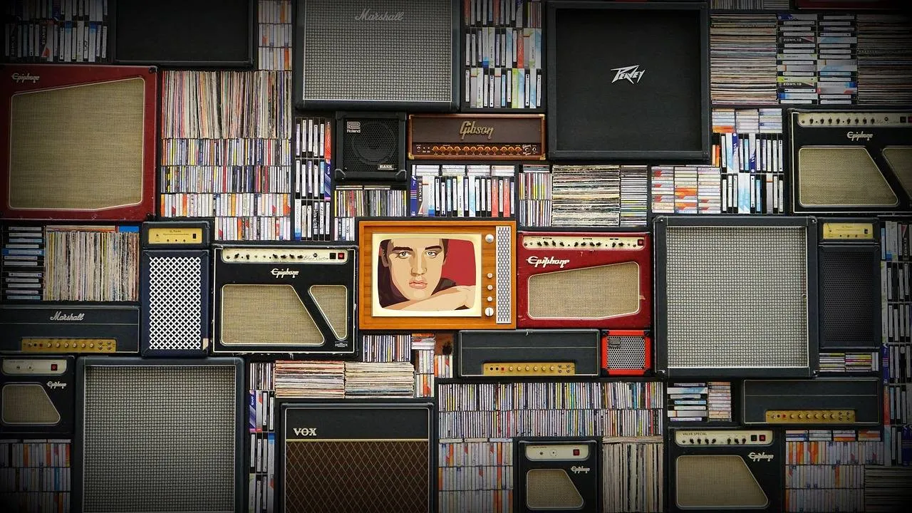 muziek elvis presley 1482026 1280