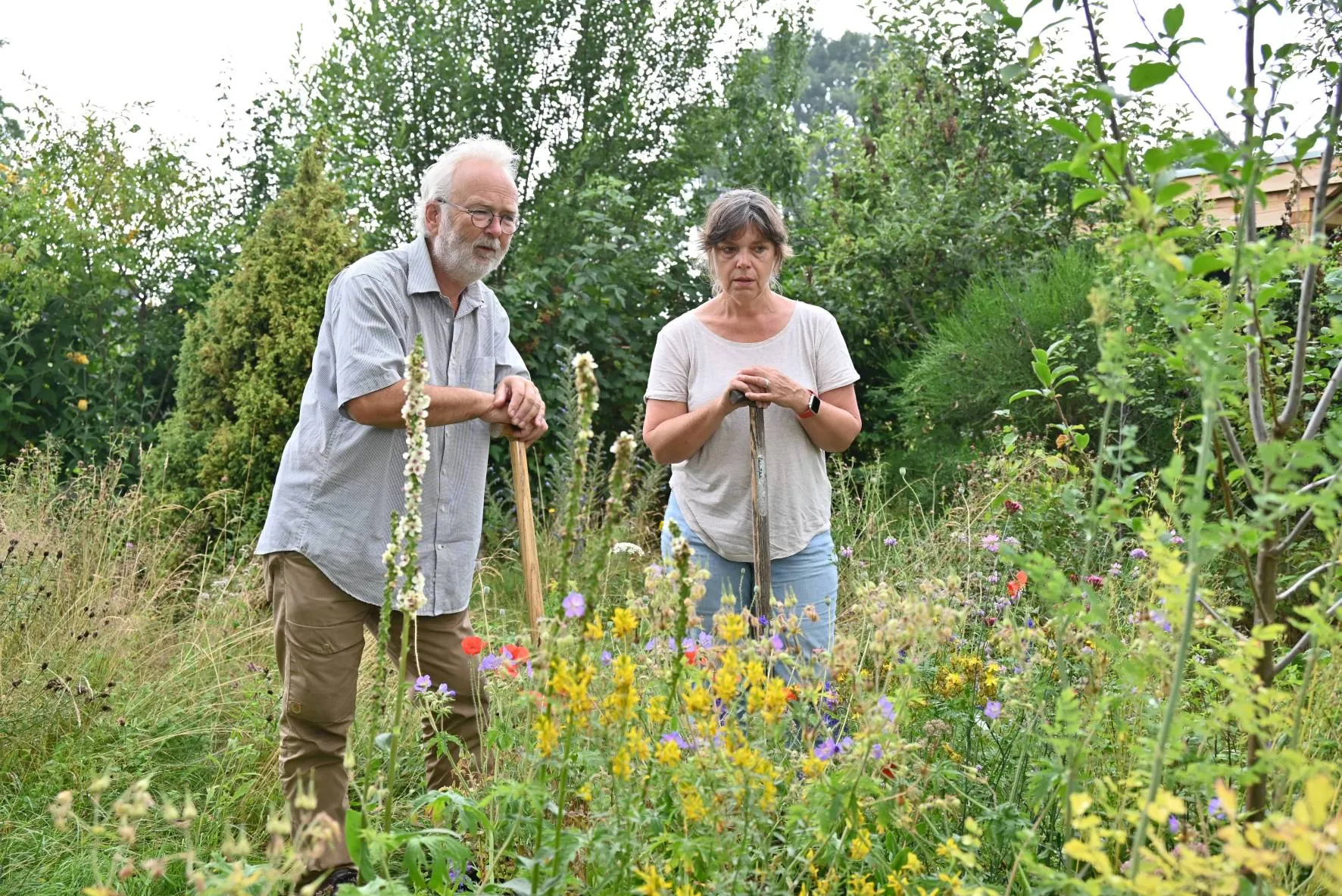 pn21072022-ruinen-bloeiend-ruinen3