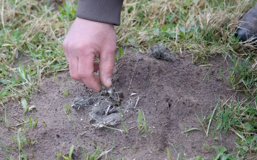 Reestdal Sporen in het landschap, Henk van Latesteijn