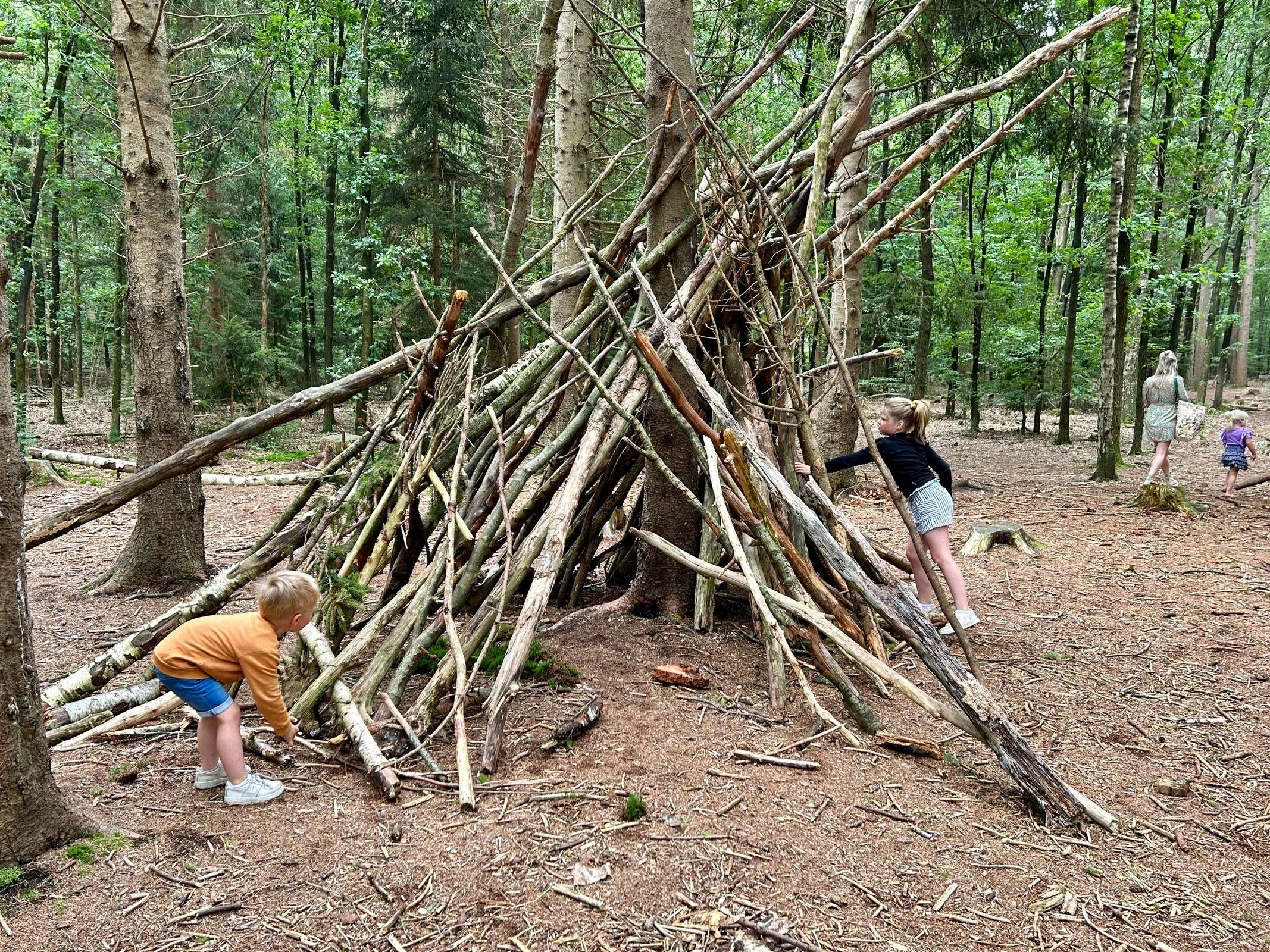 Reest Hutten bouwen - Amber de Jong