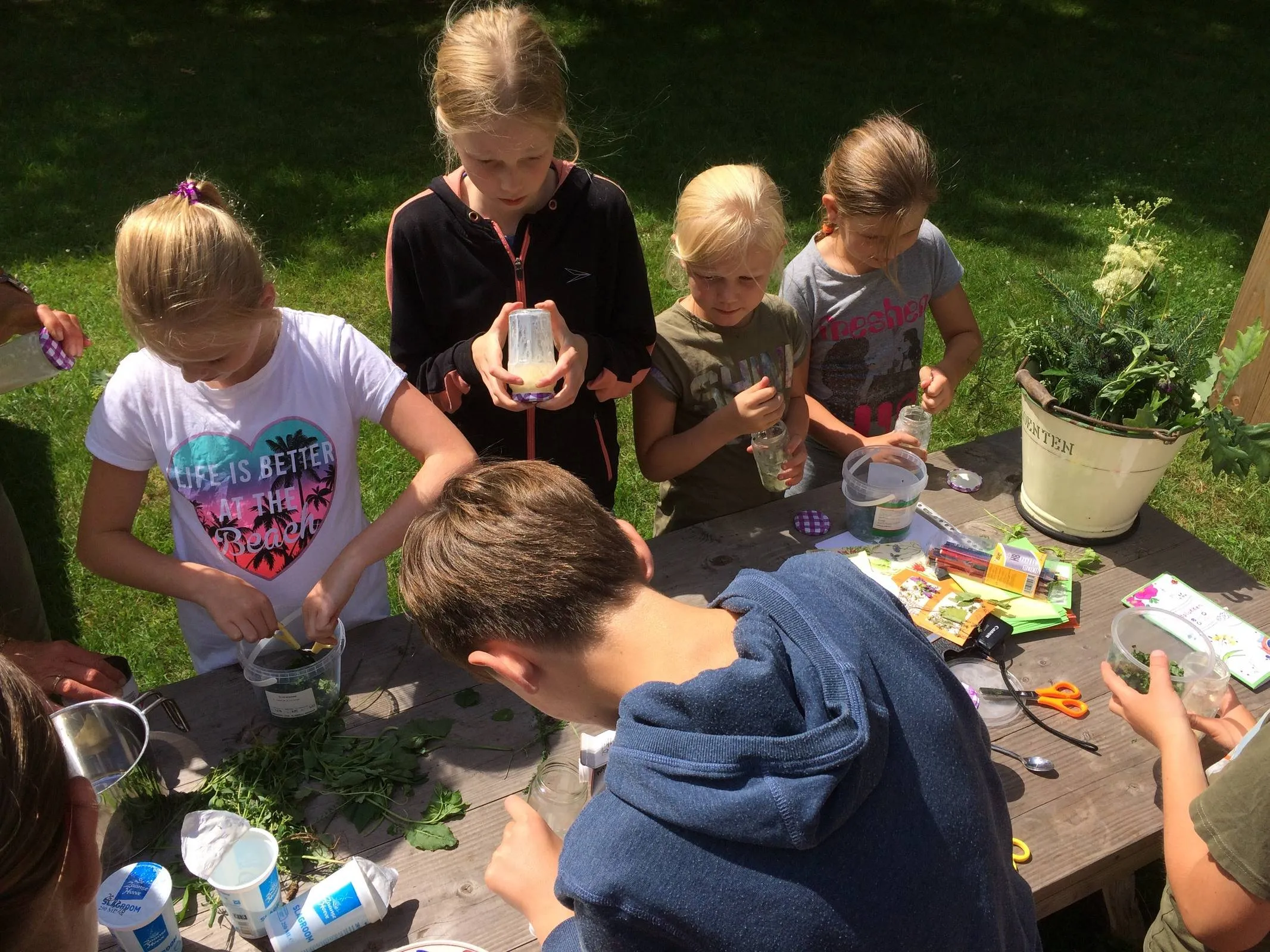 Reestdal De Wheem - Lais Veening