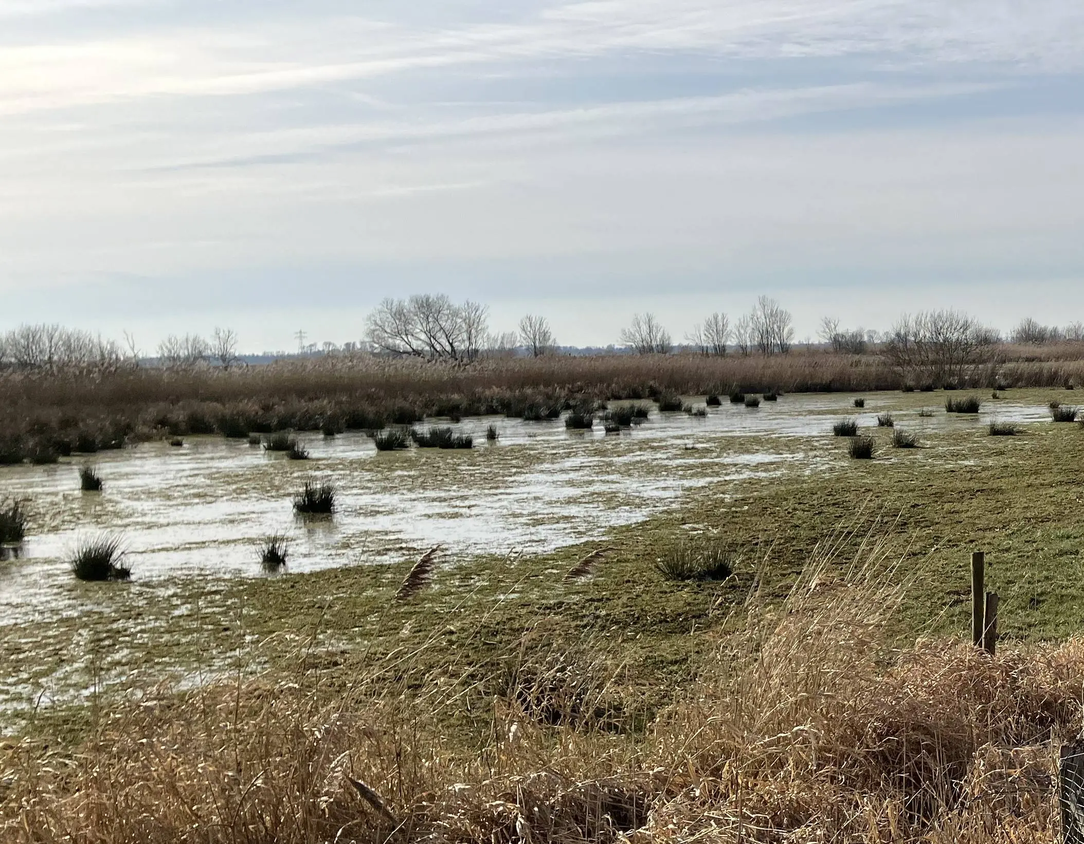 WDOD Herinrichting uiterwaarden Meppelerdiep (5) gesneden (1)