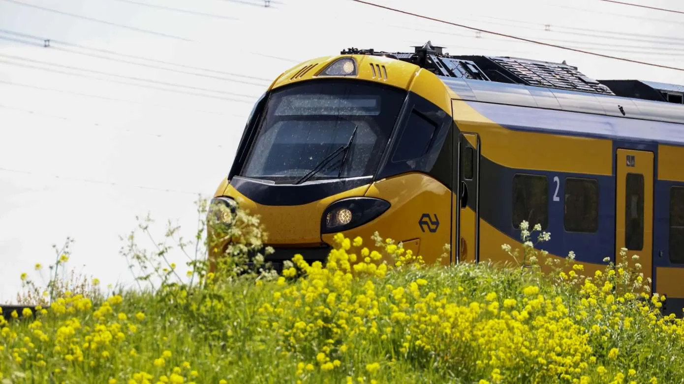 ns trein nieuw