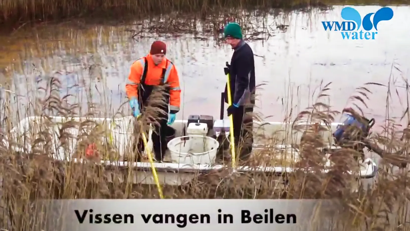 wmd vissen beilen