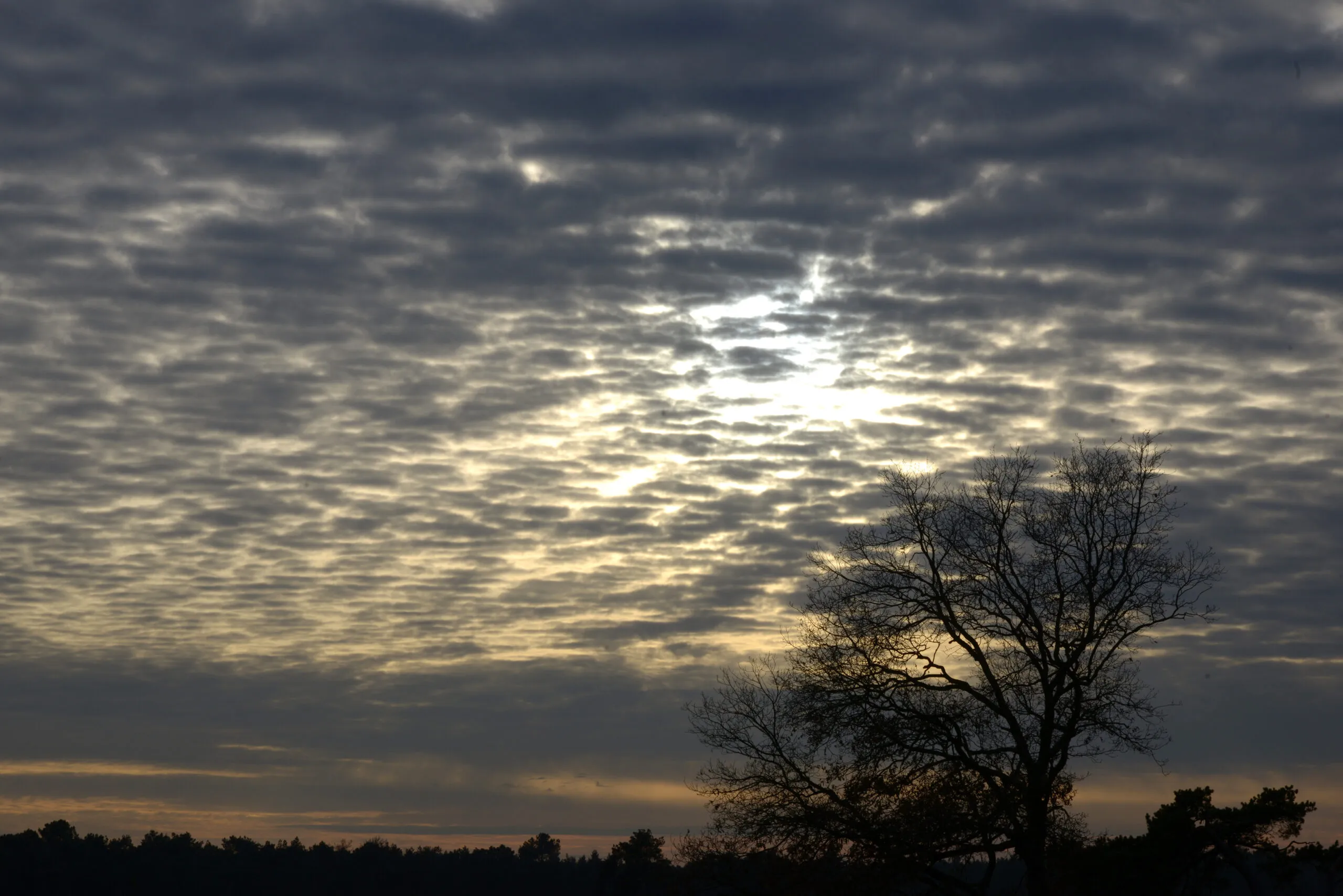 20141125 loz jst1982 scaled