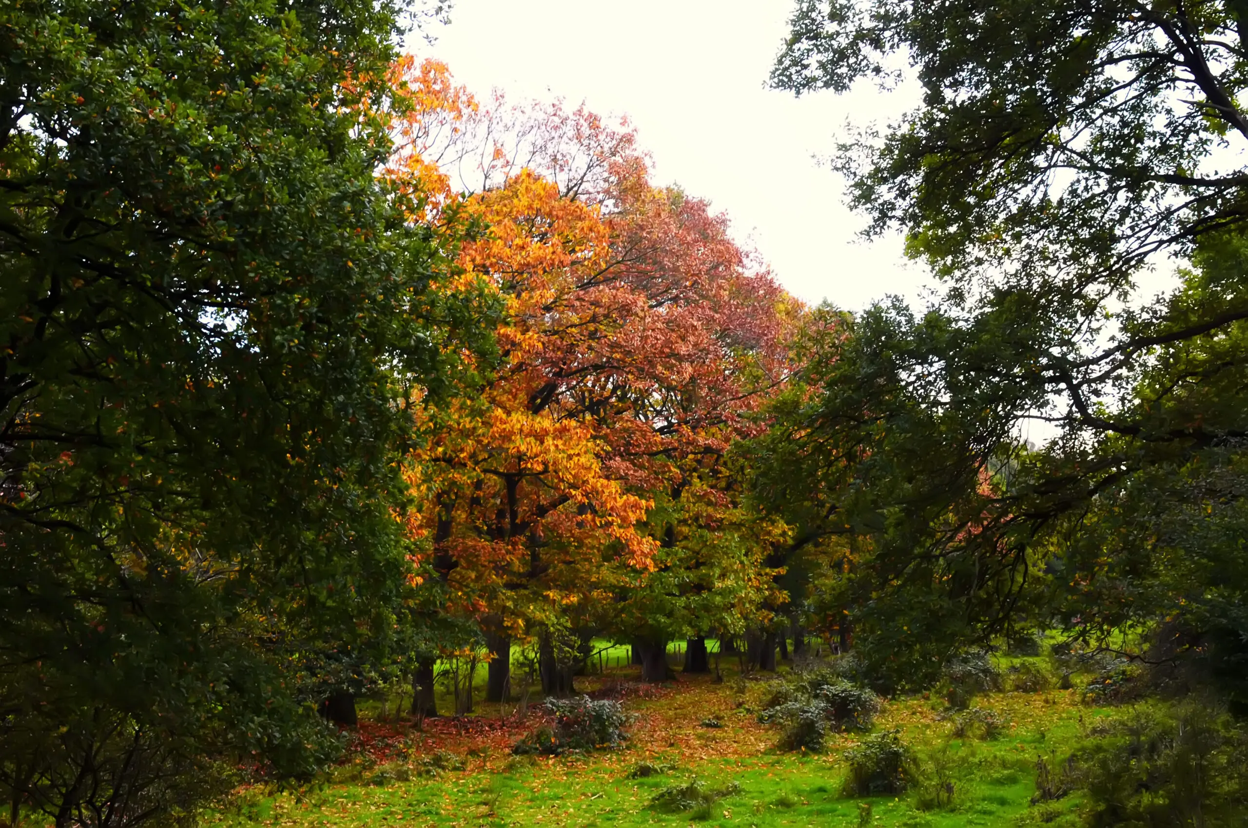 20171019 waalwijk jst7518 scaled