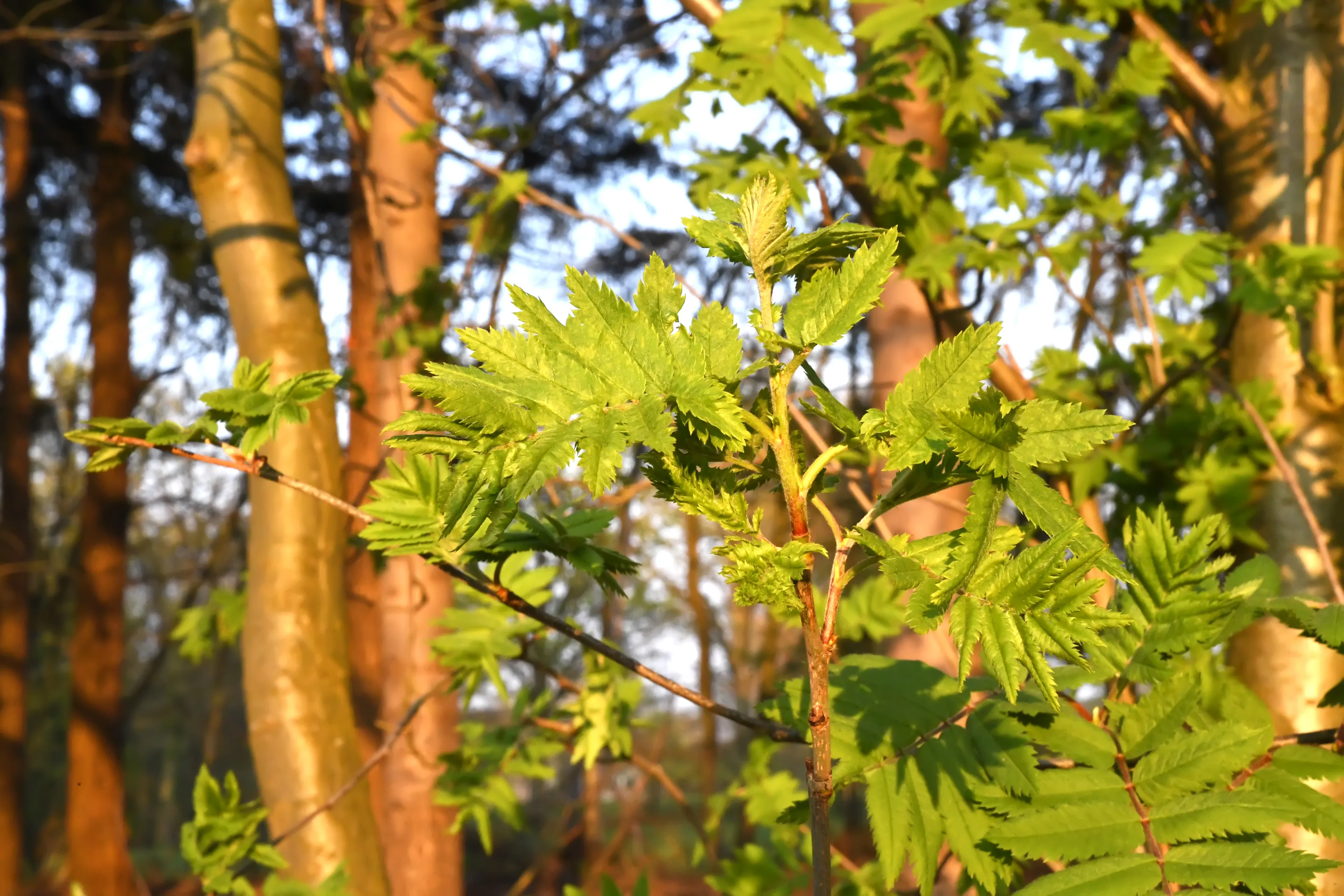 20190415 landgoederen serie jst7038