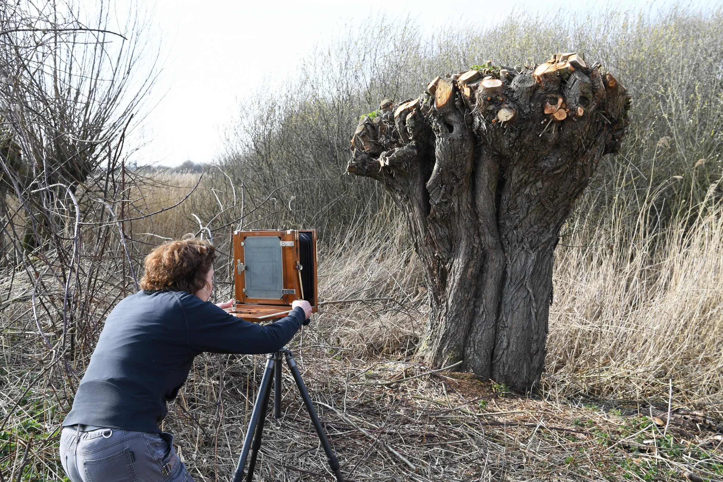 20210323 zundert betsy green jst0727