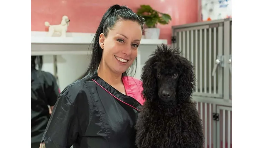 20210701 hondentrimsalon