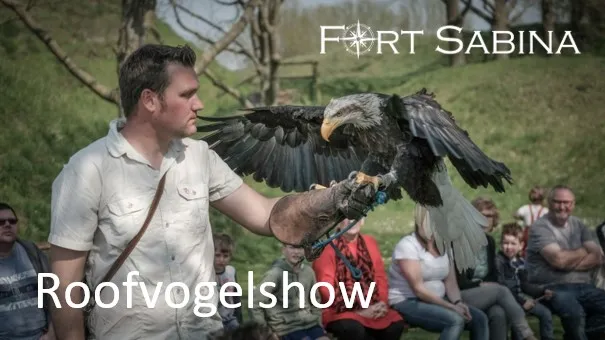 210725 roofvogelshow
