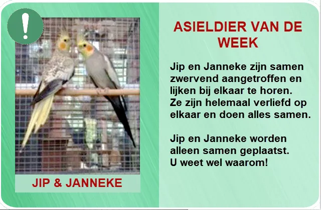 301817284 5910590165639240 814781014210720506 n