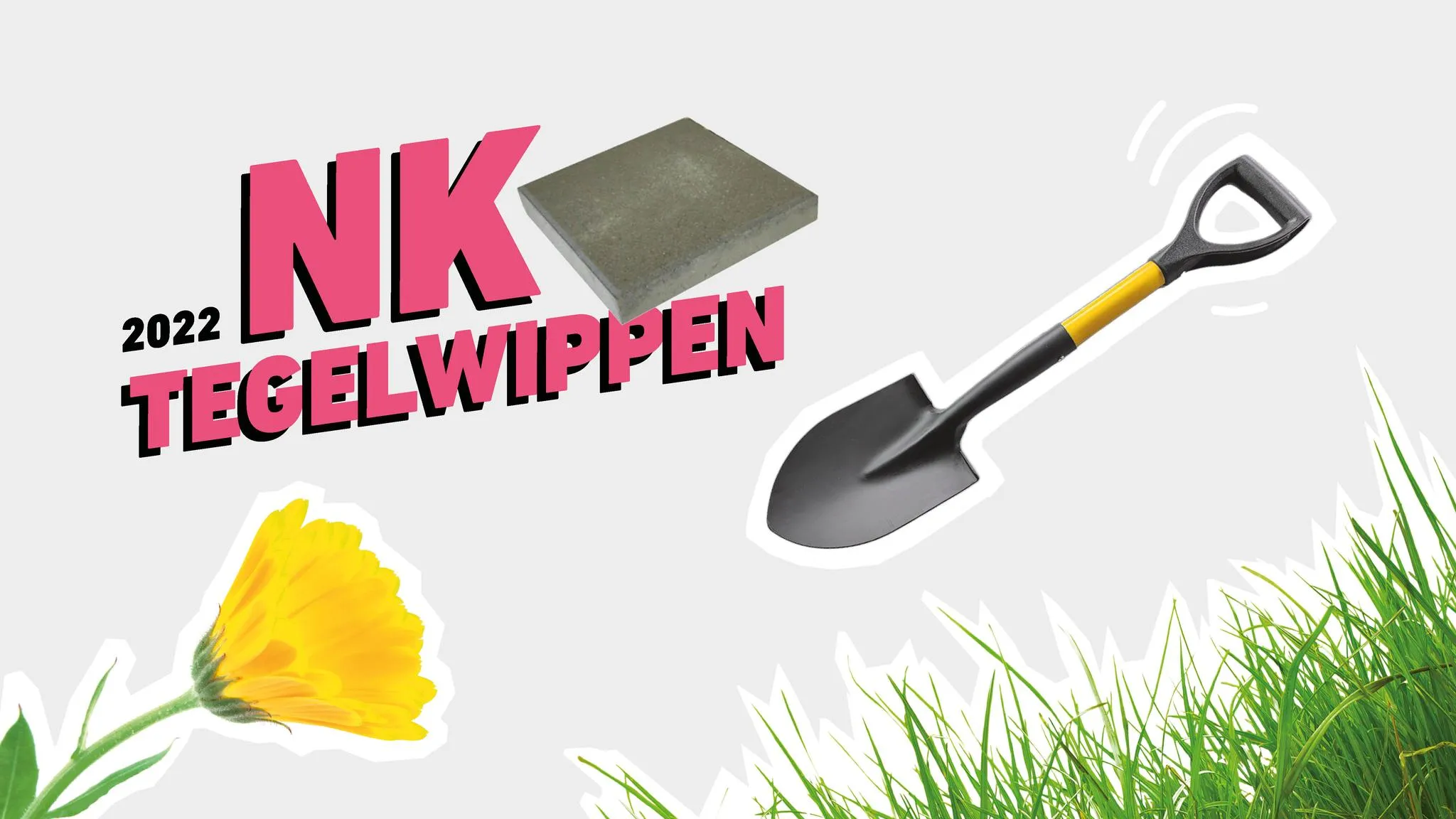 310810245 414565074192090 7924873772186389756 n