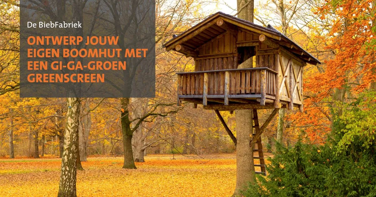 311835582 445673540995570 265122543700205260 n