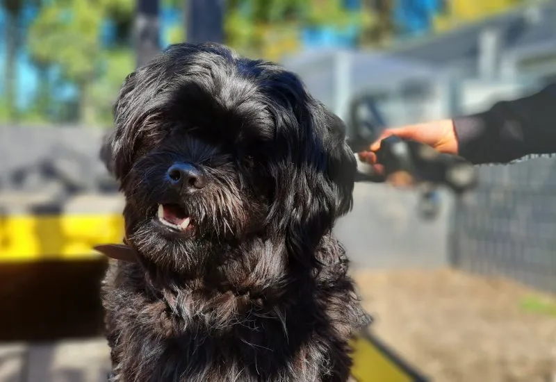 3244 4 2023 01 17 140946 jhks