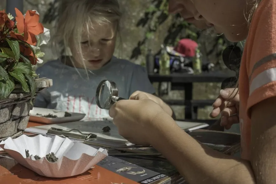 ic large w900h600q100 natuurlab fort sabina 6 1