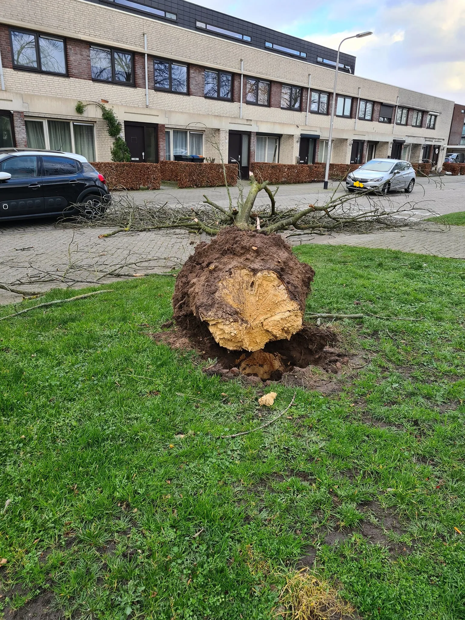 inked274264417 4908544185931715 5170725970877002338 n li