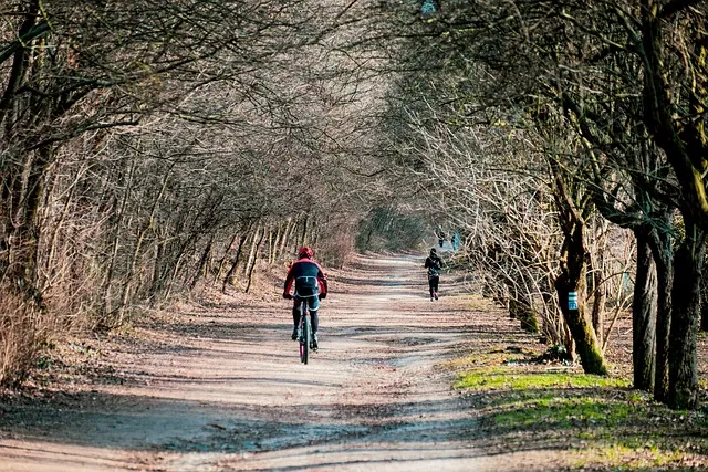 outdoors g3dc36b910 640