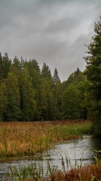 pexels damir 18686484