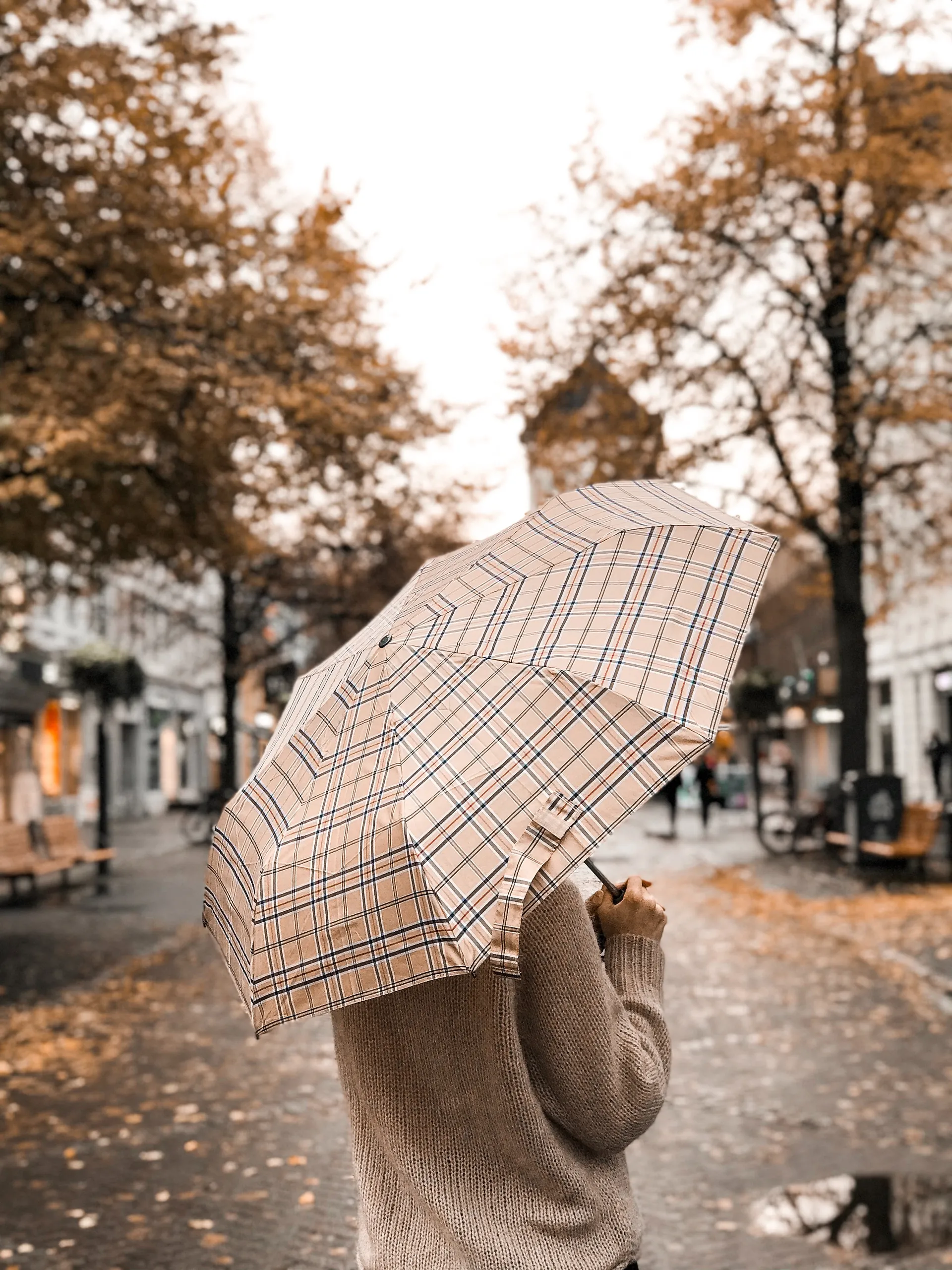 pexels julie aagaard 3144205