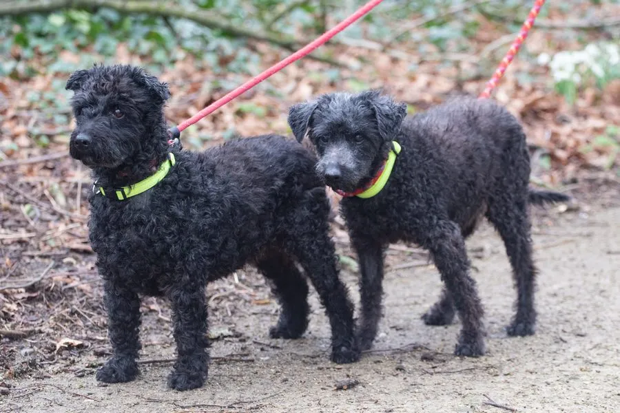 wendy en joska februari 2022