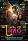 limo cover