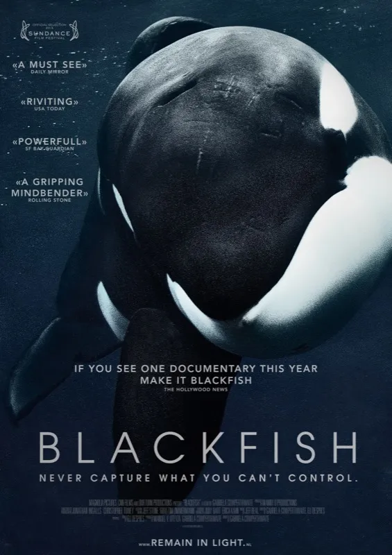 blackfish 67000073 ps 1 s low