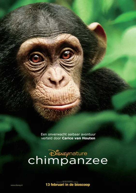 chimpanzee nl 40045045 ps 1 s low