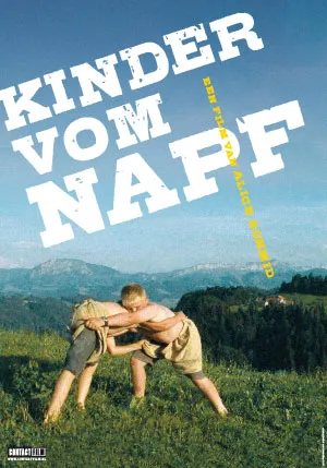 napf poster 300