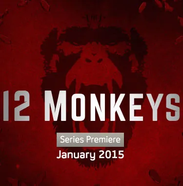 12 monkeys