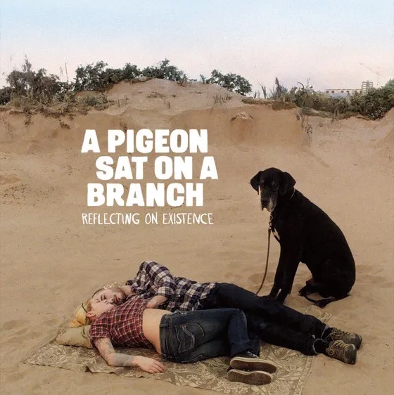 a pigeon sat on a branch reflecting on existence 51000059 ps 1 s low