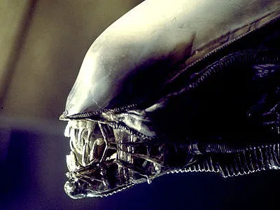 alien xenomorph 01