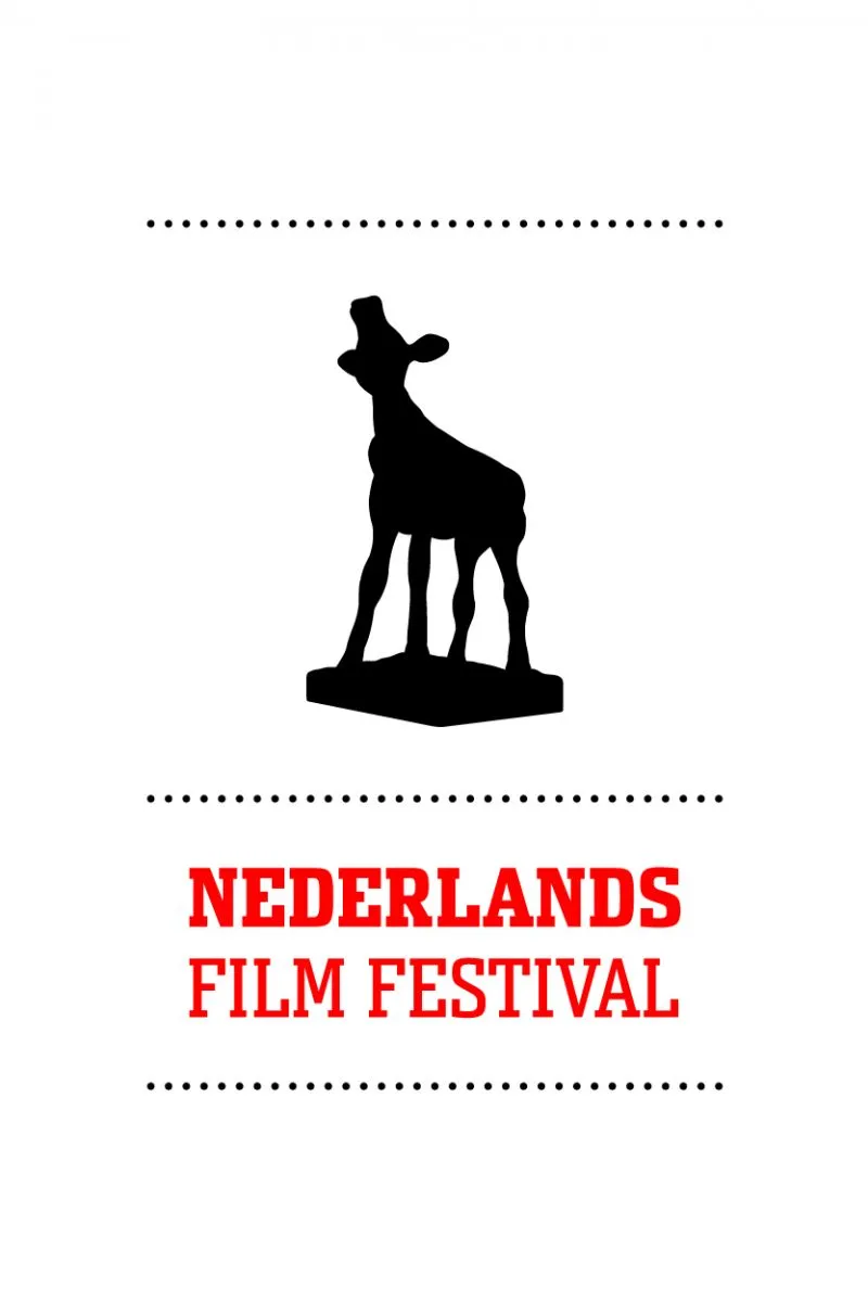 alt logo nff 2011 cmyk