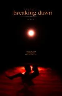 breaking dawn1