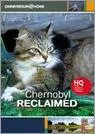 chernobyl