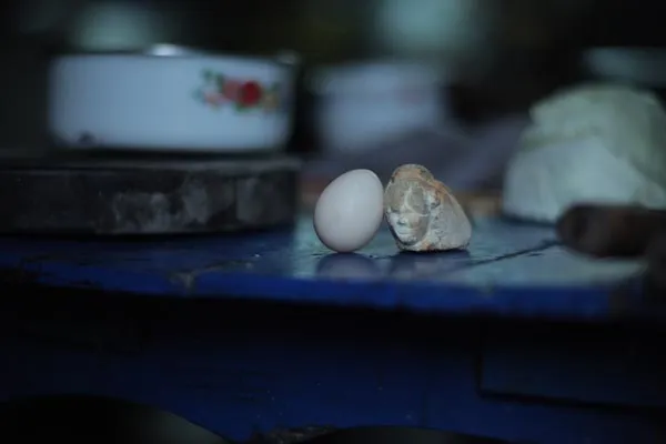 egg and stone film still 1