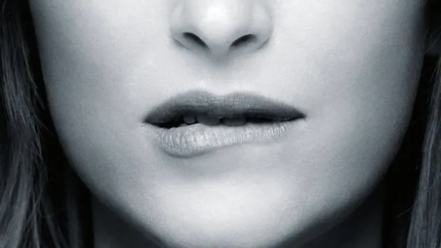fifty shades of grey poster