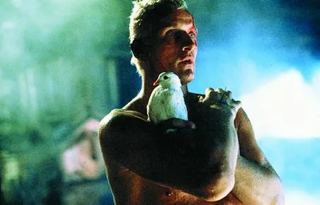 hauer2